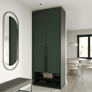 Шафа зі штангою, шухлядами та антресоллю R-0004 1000х570х2500 мм Зелений Димчастий