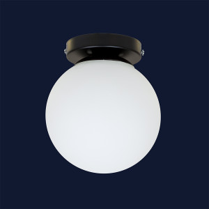 Точковий світильник 756XPR150F-1 BK+WH