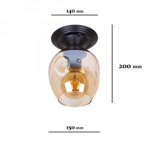 Точковий світильник 756XPR0231F-1 BK+BR