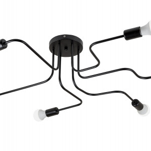 Люстра 756PR0230-6 BK