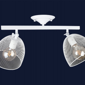 Люстра 907X013F-2 WH