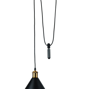 Підвісний світильник 707P102F-1G BK