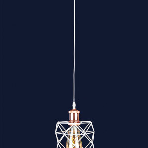 Підвісний світильник 756PR105F-1 WH+RG