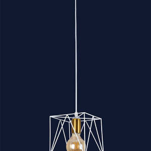 Підвісний світильник 756PR103F-1 BRZ+WH