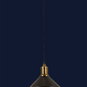 Підвісний світильник 707P103F-1 BRZ+BK