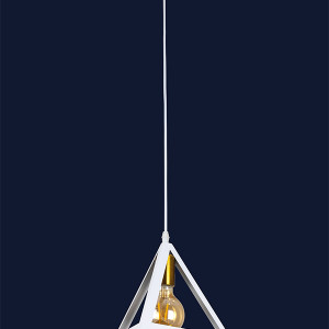 Підвісний світильник 756PR220F-1 BRZ+WH