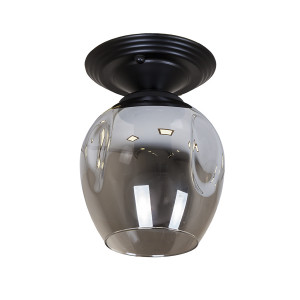 Точковий світильник 756XPR0231F-1 BK+BK