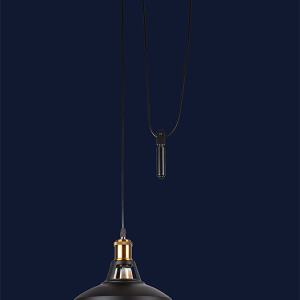 Підвісний світильник 7526857F-1G BK(270)