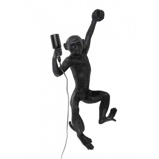 Бра 909VXL8051DR-1 BK фото № 1