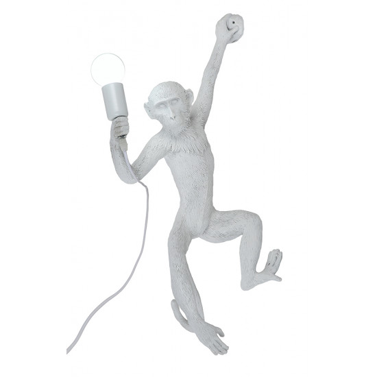 Бра 909VXL8051DR-1 WH фото № 1