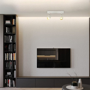 Спот INN-23051WH білий на 2 плафона