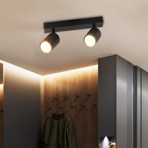 Спот INN-23697BK чорний на 2 плафони