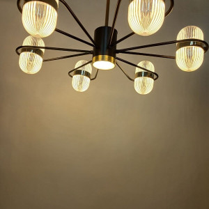 У B N5499/6 COFEE+FGD***562