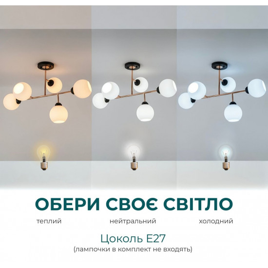 L0006-5 BK+FGD  фото № 4