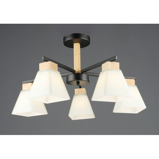 B N6608/5 BK+WOOD фото № 1
