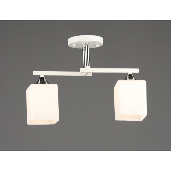 B N6788/2 WT+CH фото № 1