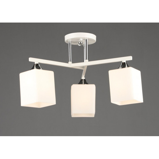 B N6788/3 WT+CH фото № 1