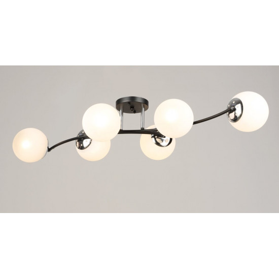 B K2318/6 BK+CH фото № 1