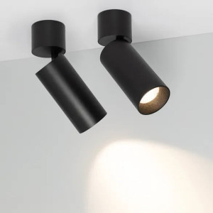 Світильник точковий з повортним плафоном Спот Sirius PRD 4732