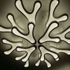 Люстра світлодіодна акрілова Sirius Д K39126-8+4