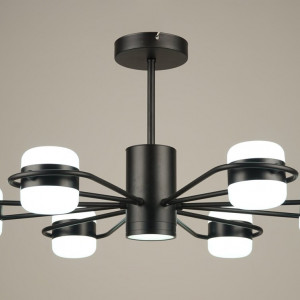 Люстра світлодіодна акрилова Sirius B N4557/6 BK