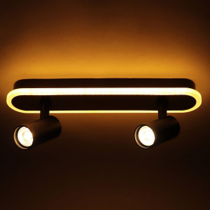 Люстра Sirius PRD-C 0371-2 42W в стилі лофт з поворотним механізмом на 2 лампочки