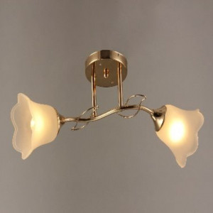 Люстра Sirius B C0320/2 (на 2 плафони)