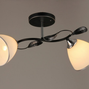 Люстра Sirius B N2709/2 (на 2 плафони)