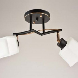 Люстра стельова Sirius Л 1338/2 на 2 плафона