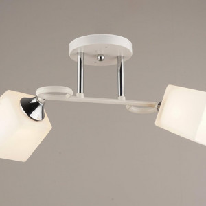 Люстра стельова Sirius В N3693/2 на 2 плафони