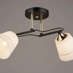 Люстра Sirius B A3383/2 (на 2 плафони)