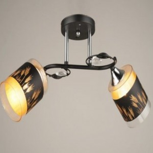 Люстра Sirius B N4167/2 (на 2 плафони)