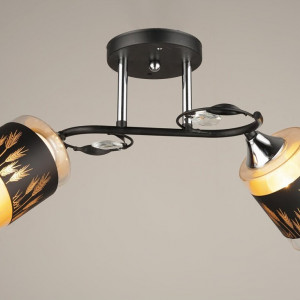 Люстра Sirius B N4167/2 (на 2 плафони)