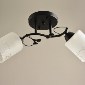 Люстра Sirius Л 4638/2 (на 2 плафони)