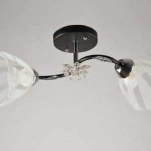 Люстра Sirius Л 67297/2 (на 2 плафони)