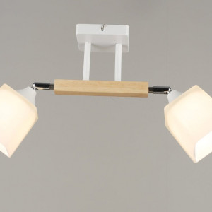 Люстра Sirius B N4719/2 (на 2 плафони)