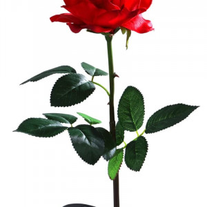 Вуличний ліхтар садово-парковий наземний Sirius 28010 троянда