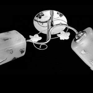 Люстра стельова Sirius Ю 7010/2 на 2 плафона