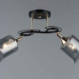 Люстра декоративна Sirius B N4862/2 на 2 плафони