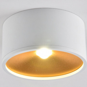 Точковий світильник Sirius RT448 WT+GD