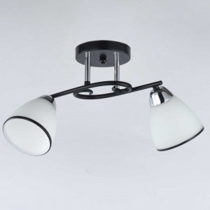 Люстра стельова Sirius 9127/2 на 2 плафона