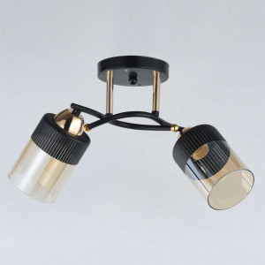 Люстра стельова Sirius 9131/2 на 2 плафона