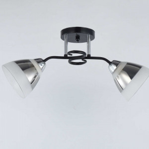 Люстра стельова Sirius 9135/2 на 2 плафона