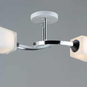 Люстра стельова B N5449/2 WT+CH на 2 плафони