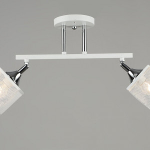 Люстра стельова Sirius N5710/2 на 2 плафони