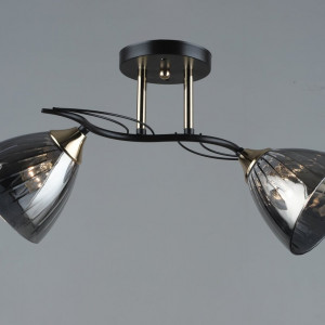 Люстра стельова Sirius B N5467/2 COFFEE+FGD на 2 плафони