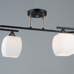 Люстра декоративна Sirius B N5485/2 BK+FGD