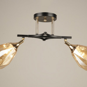 Люстра стельова Sirius B N4510/2 COFFEE+FGD з поворотніми плафонами