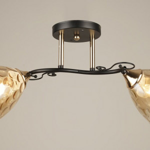 Люстра стельова Sirius B N4522/2 BK+FGD на 2 плафони