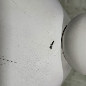 У D3678-white***242